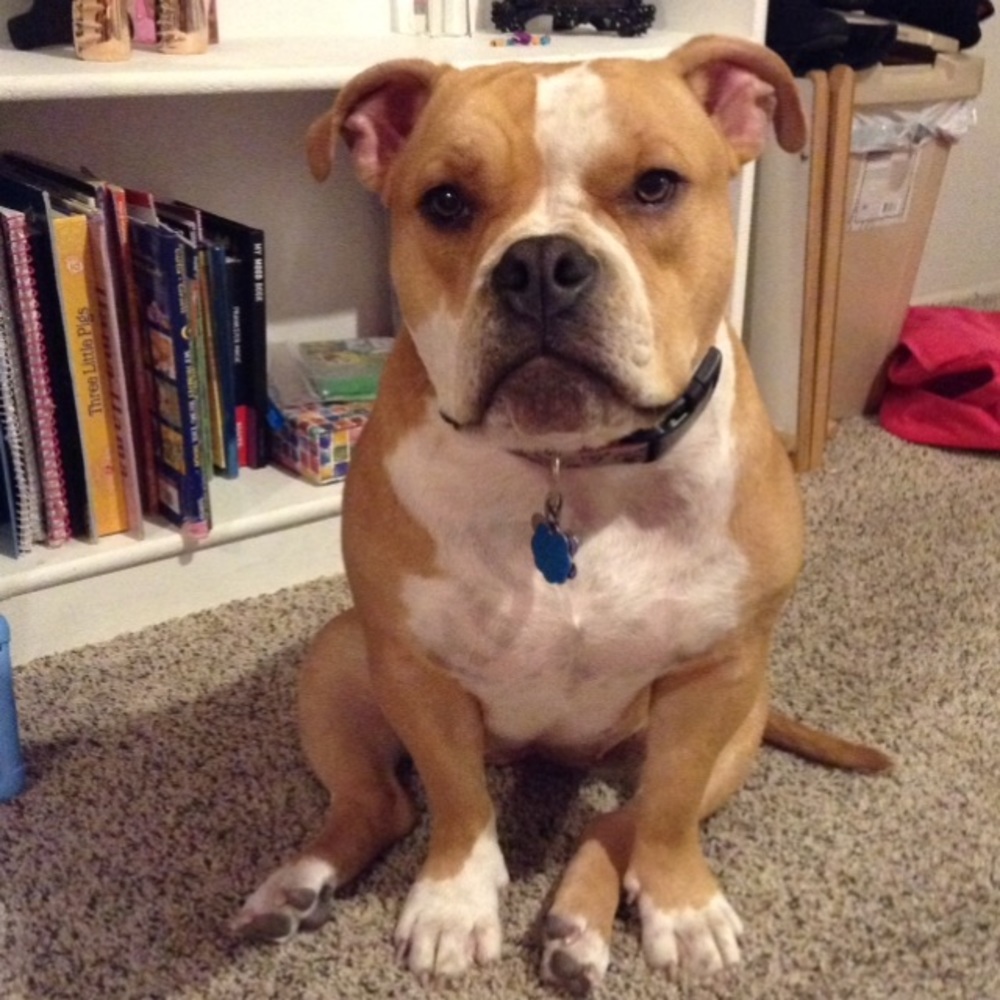 Meet your Posher, Angela